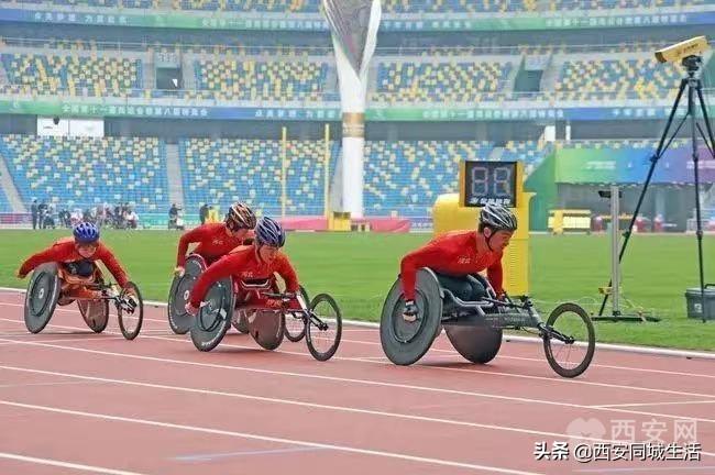 探索澳門未來，2025新澳門正版免費資本車展望，澳門未來展望，2025資本車正版免費探索之旅