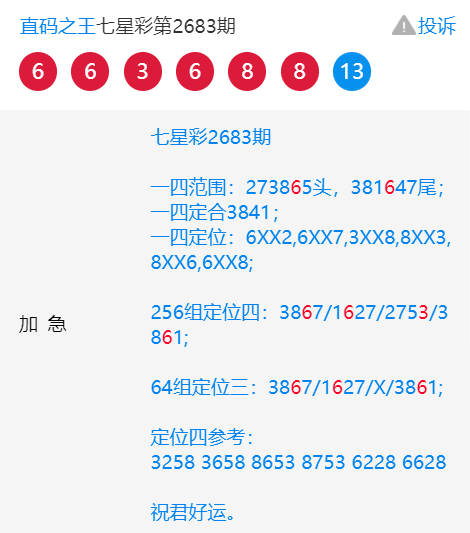 王中王一肖中特4487，揭秘背后的故事與奧秘，揭秘王中王一肖中特4487背后的故事與奧秘