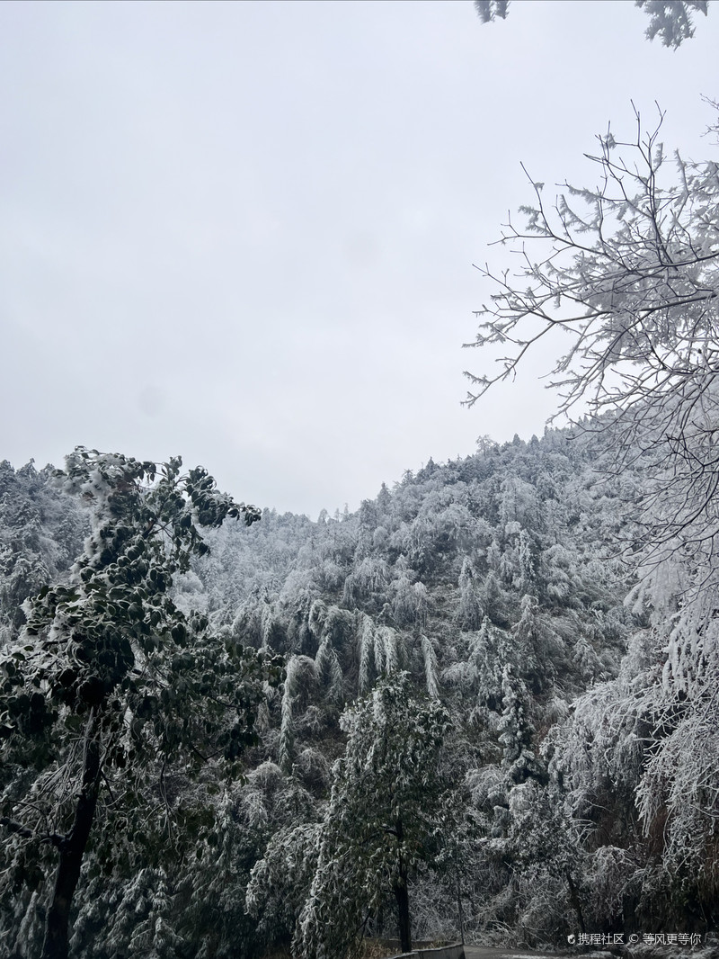 雪峰山國家森林公園，自然之美的瑰寶，雪峰山國家森林公園，自然之美的璀璨瑰寶