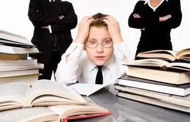 三肖必開一期王中王，揭秘背后的秘密與策略，揭秘三肖必開一期王中王的秘密與策略