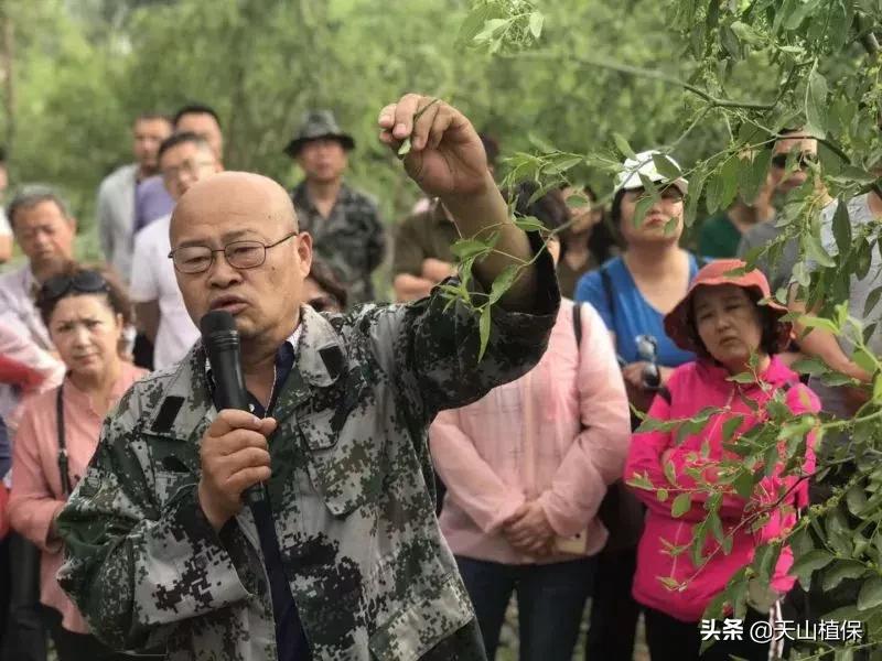 長(zhǎng)期吃紅棗的潛在害處，了解并平衡飲食健康，長(zhǎng)期食用紅棗的潛在風(fēng)險(xiǎn)與飲食平衡的重要性