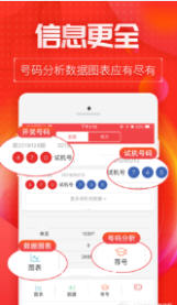 王中王碼會開獎結(jié)果一肖，深度解析與預測，王中王碼開獎結(jié)果一肖深度解析與預測報告