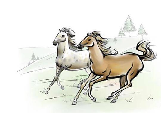 今期必劉伯溫打一生肖——探尋生肖奧秘與傳奇人物劉伯溫的關(guān)聯(lián)，劉伯溫與生肖奧秘，探尋傳奇人物與生肖的關(guān)聯(lián)