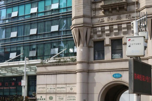 武漢協(xié)和醫(yī)院，卓越醫(yī)療的典范，武漢協(xié)和醫(yī)院，卓越醫(yī)療典范，健康守護先鋒