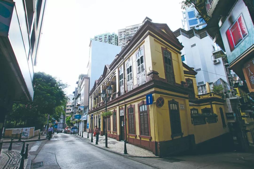 澳門三期內(nèi)必開一肖——揭秘生肖彩票的奧秘，揭秘澳門生肖彩票三期必開一肖的神秘面紗