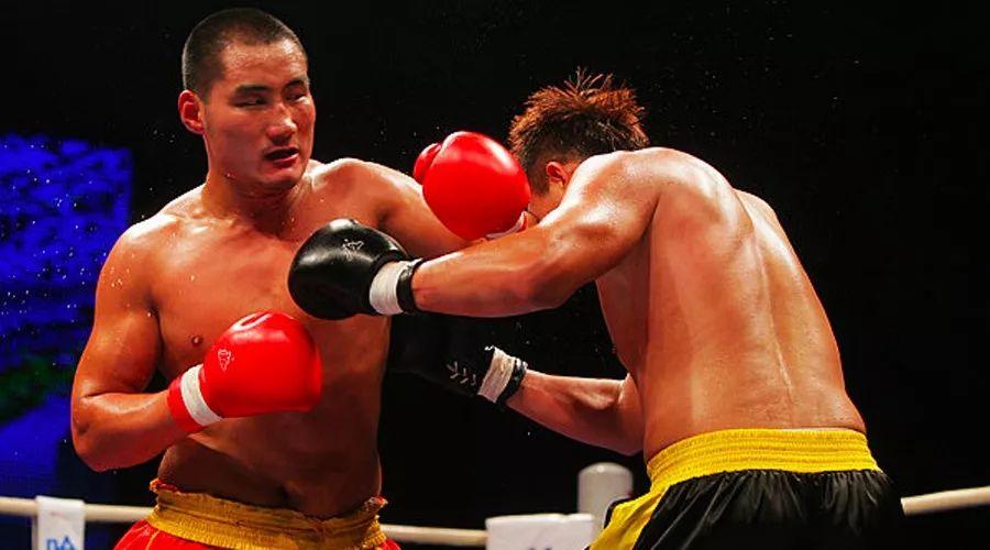 王中王85期指一生肖——深度解析與預(yù)測，王中王85期生肖深度解析與預(yù)測