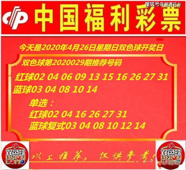 王中王029期指一生肖，揭秘生肖魅力與預(yù)測背后的秘密，揭秘生肖魅力與預(yù)測背后的秘密，王中王生肖預(yù)測第029期揭曉