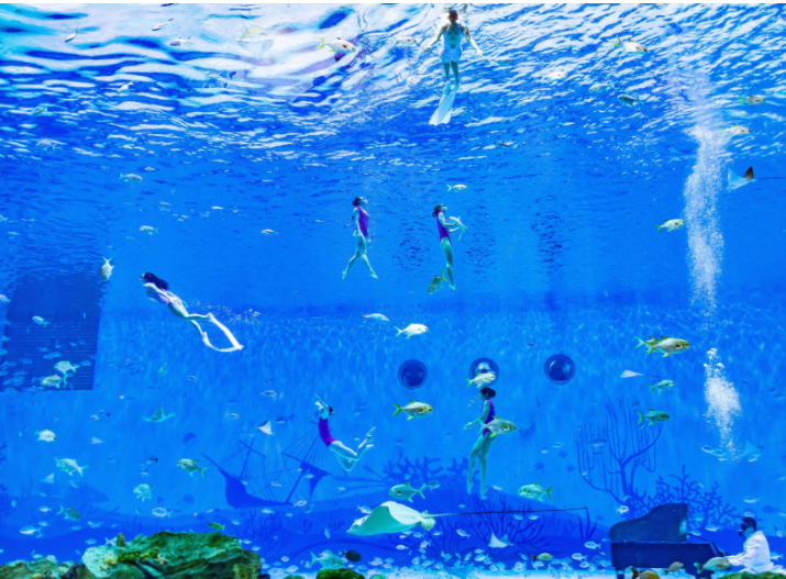 海昌海洋公園門票價(jià)格詳解，海昌海洋公園門票價(jià)格全面解析