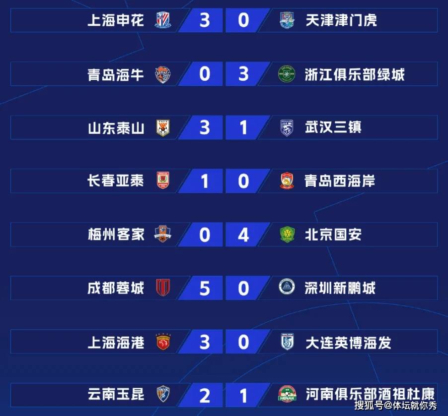 2025新澳精準(zhǔn)正版資料全面解析，2025新澳正版資料全面解析與解讀