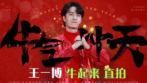 王中王一肖中特一馬救世，探尋背后的故事與真理，探尋王中王一肖中特背后的故事與真理，一馬救世的傳奇之旅