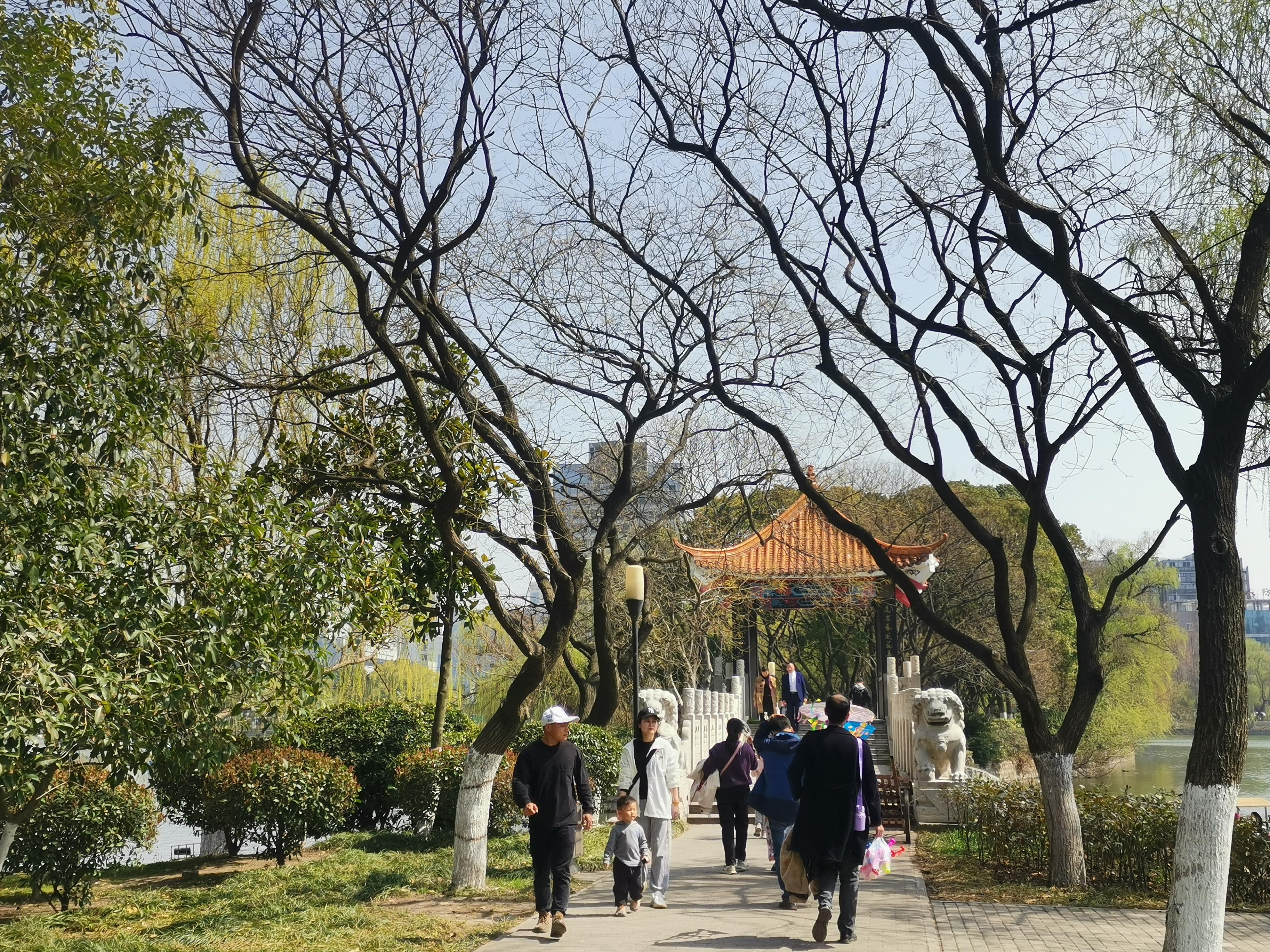 澳門75期最快天天開(kāi)獎(jiǎng)，揭秘彩票背后的秘密與策略，澳門75期天天開(kāi)獎(jiǎng)揭秘，彩票背后的秘密與策略探究