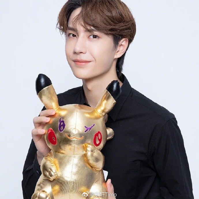 揭秘查王中王一肖中特，探尋背后的秘密，揭秘查王中王一肖中特背后的秘密真相