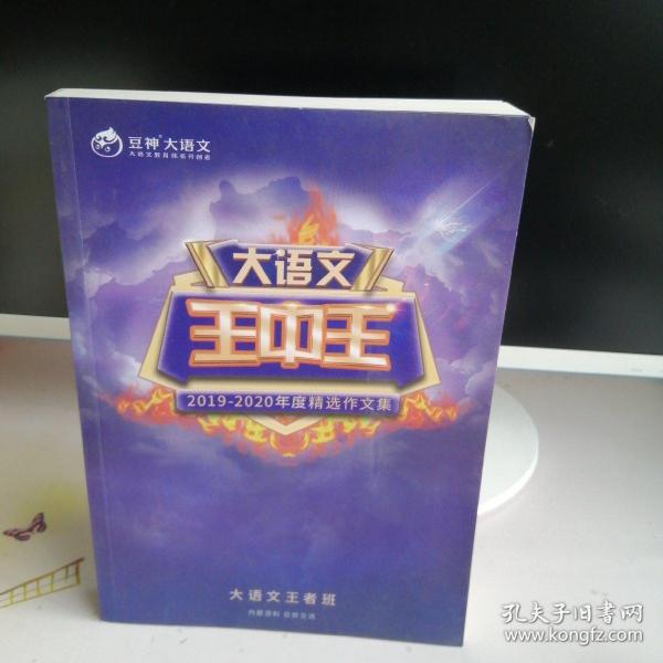 揭秘2019王中王資料一肖，傳奇背后的故事，揭秘傳奇背后的故事，王中王資料一肖探秘（2019版）