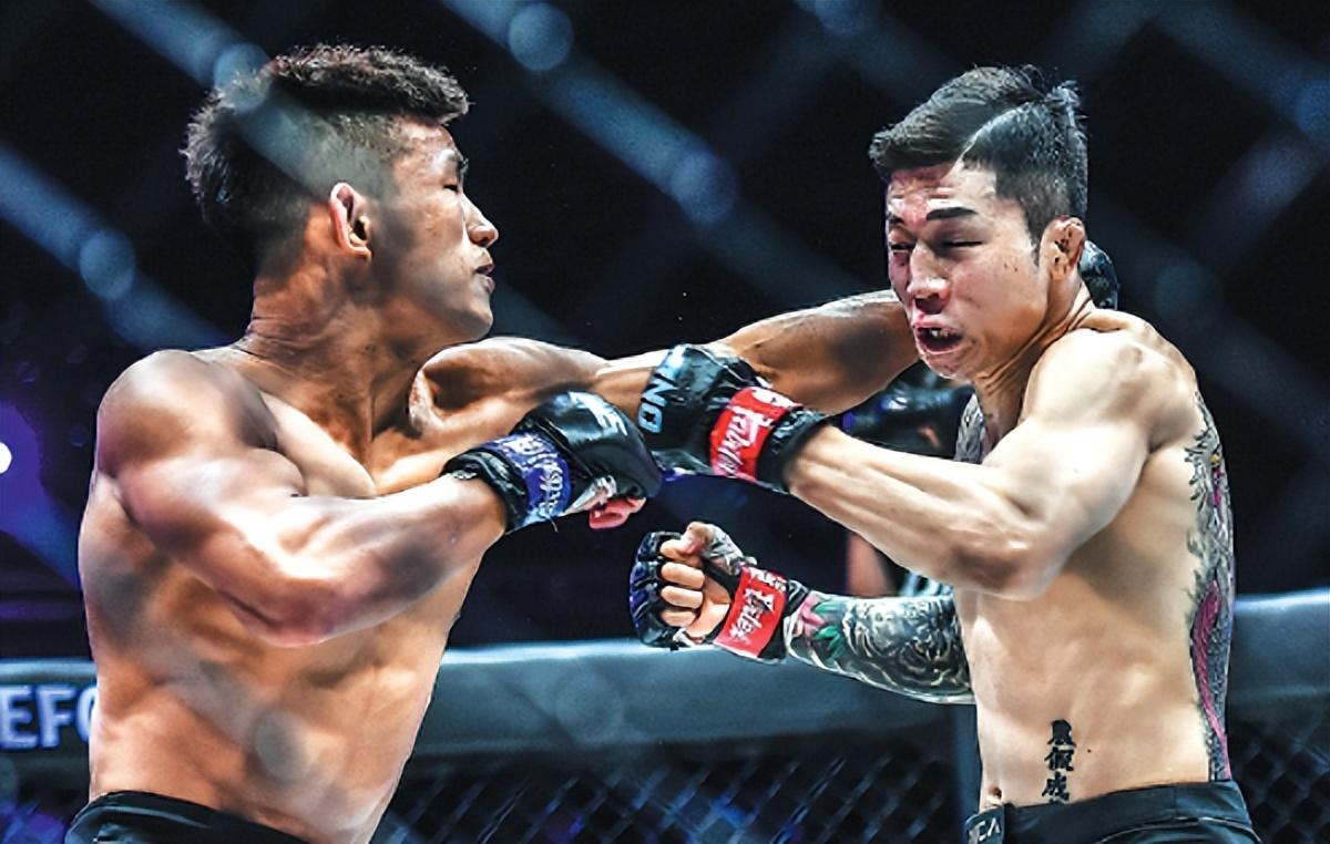 王中王07期指一生肖，深度解析與預(yù)測，王中王07期指一生肖，深度解析、預(yù)測與運勢探討