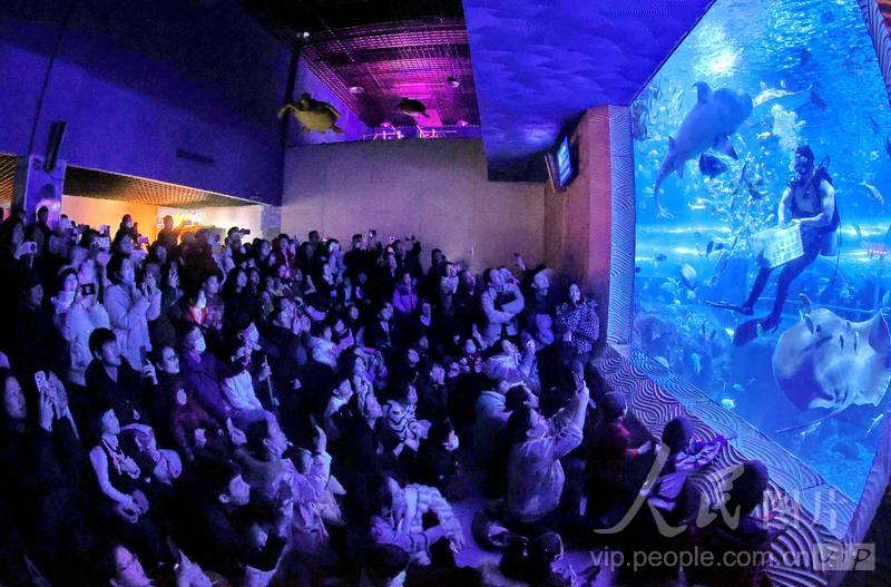 新澳2025今晚開獎結(jié)果揭曉，期待與驚喜交織的時刻，新澳2025今晚開獎結(jié)果揭曉，期待與驚喜的時刻來臨