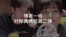 一肖拖一肖二中二有幾組——深度解析與探索，深度解析與探索，一肖拖一肖二中二有多少組組合？