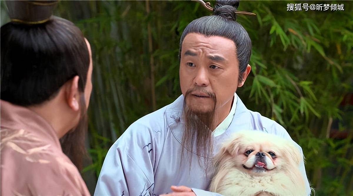 定天下劉伯溫打一生肖——探尋傳奇背后的秘密，劉伯溫傳奇背后的生肖揭秘，定天下之生肖探秘