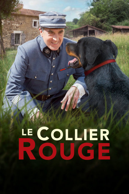 揭秘劉伯溫預(yù)言中的四不像必出一肖，劉伯溫預(yù)言揭秘，四不像預(yù)示必出一生肖