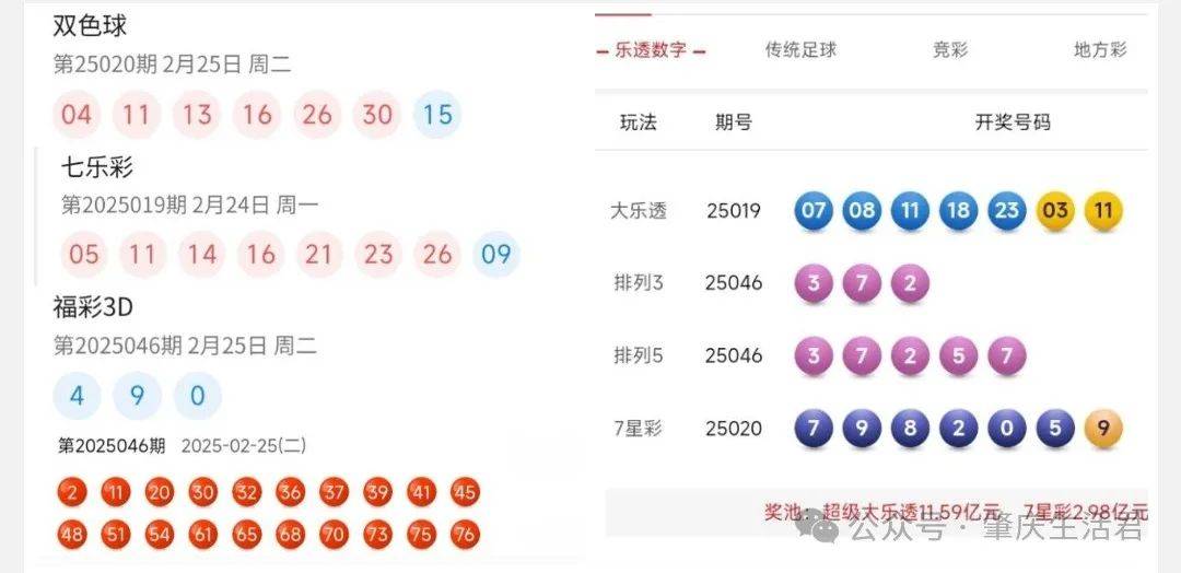 香港今晚開獎結果號碼是多少——揭秘彩票背后的秘密，揭秘彩票背后的秘密，香港今晚開獎結果號碼揭曉