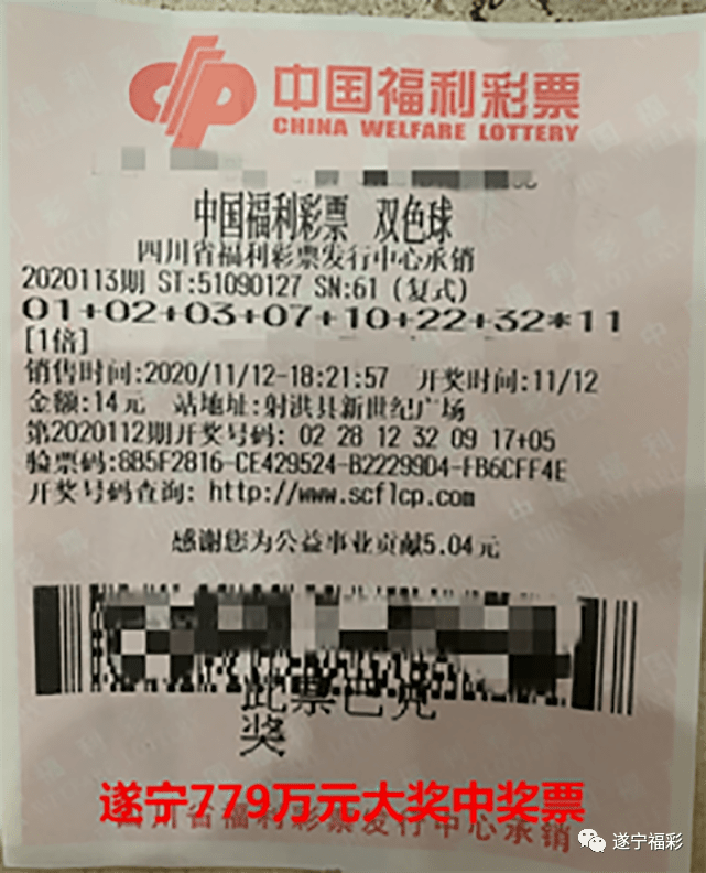 王中王遂寧平臺(tái)一肖中特，深度解析與SEO優(yōu)化策略，王中王遂寧平臺(tái)一肖中特深度解析與SEO優(yōu)化策略探討