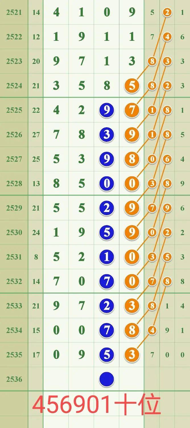 揭秘029期王中王平特一肖的神秘面紗，揭秘王中王平特一肖的神秘面紗