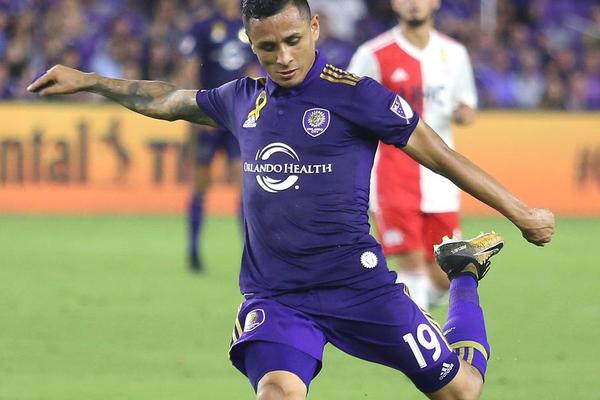 管家婆必中一肖圖正版，揭秘彩票背后的秘密與策略，揭秘彩票背后的秘密與策略，管家婆必中一肖圖正版分析