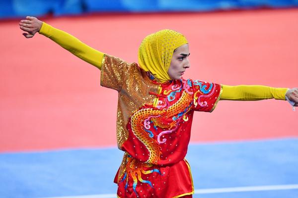 揭秘504王中王一肖，背后的故事與傳奇，揭秘王中王一肖傳奇，背后的故事與神秘面紗