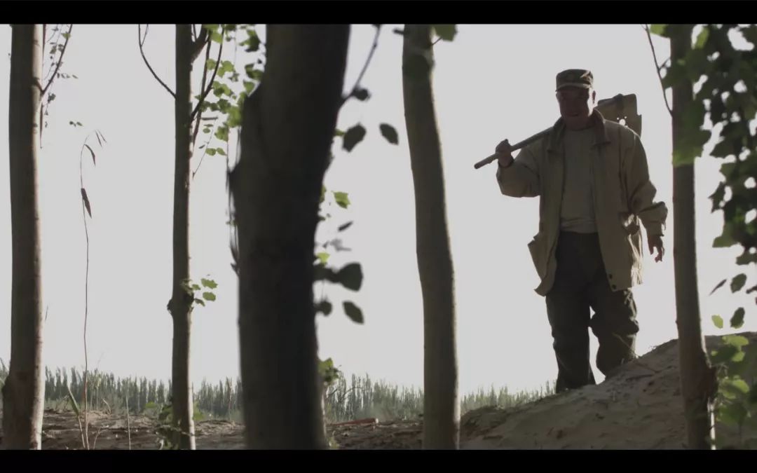 今晚劉伯溫四不像一肖圖，揭秘神秘預(yù)測背后的故事，揭秘劉伯溫四不像一肖圖的神秘預(yù)測故事