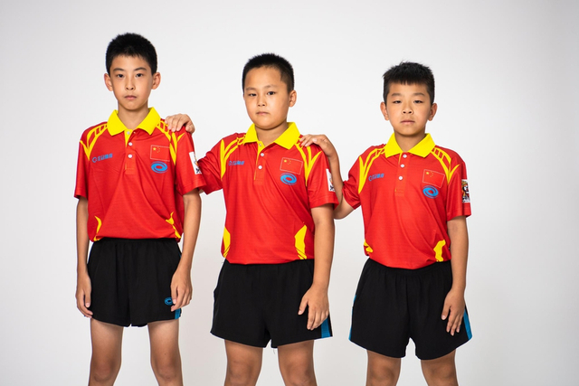 王中王白小姐四肖選一，揭秘背后的秘密與策略，揭秘王中王白小姐四肖選一背后的秘密與策略之道