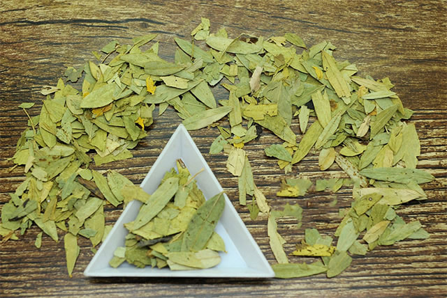 番瀉葉的功效與作用，番瀉葉的功效與作用簡介