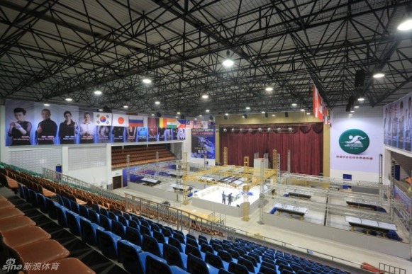 王中王一肖一馬中特平臺，探索與解析，王中王一肖一馬中特平臺深度探索與解析