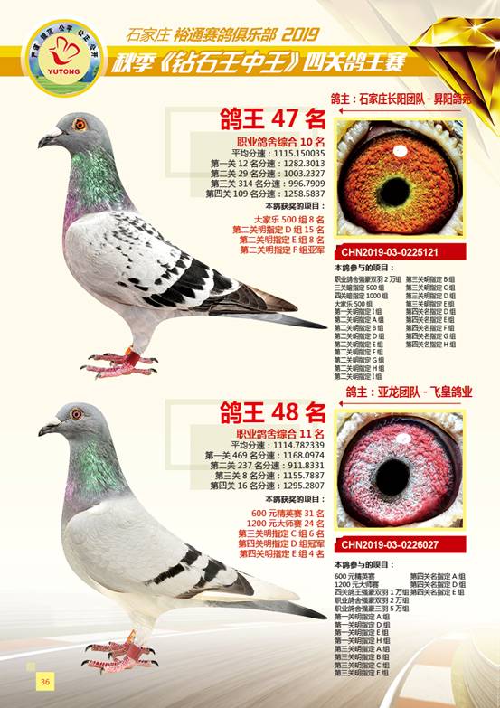 王中王一肖特四，深度解析與SEO優(yōu)化策略，王中王一肖特四深度解析與SEO優(yōu)化策略探討