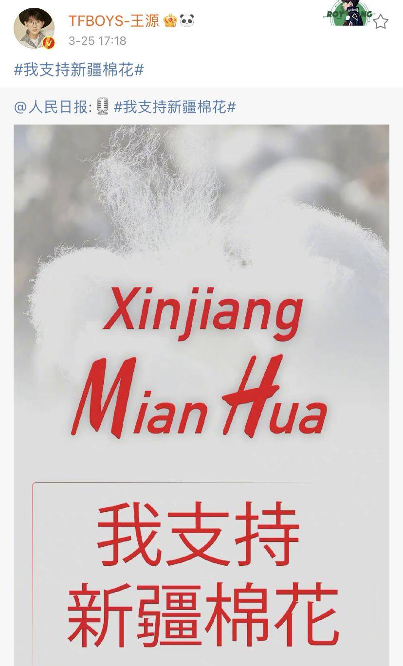 曾夫人王中王精準(zhǔn)一肖，揭秘生肖預(yù)測(cè)的魅力與真相，揭秘生肖預(yù)測(cè)真相，曾夫人王中王精準(zhǔn)一肖的魅力與探討