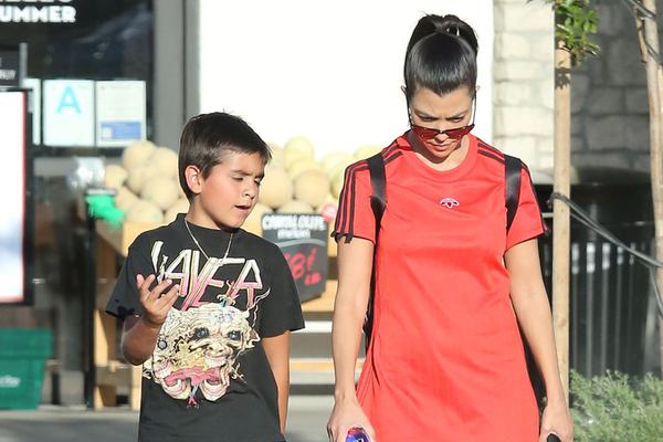 王中王兔費一肖，揭秘背后的秘密與SEO策略，揭秘王中王兔費預測背后的秘密與SEO策略