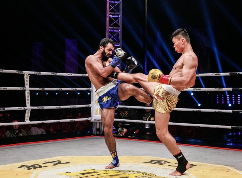 王中王網(wǎng)四肖主一碼，深度解析與SEO優(yōu)化策略，王中王網(wǎng)四肖主一碼，深度解析與SEO優(yōu)化策略全攻略