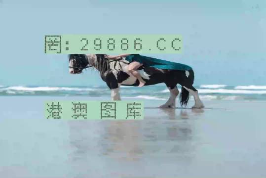 澳門新彩一碼精準(zhǔn)，揭秘彩票預(yù)測的秘密，澳門新彩一碼精準(zhǔn)揭秘，彩票預(yù)測背后的秘密之道