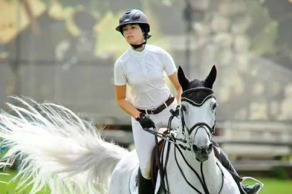 揭秘劉伯溫四肖選一碼的秘密，傳奇人物背后的故事與智慧，劉伯溫四肖選一碼揭秘，傳奇人物背后的秘密與智慧