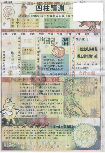 王中王動(dòng)物一肖圖，深度解析與SEO優(yōu)化，王中王動(dòng)物一肖圖深度解析與SEO優(yōu)化策略探討