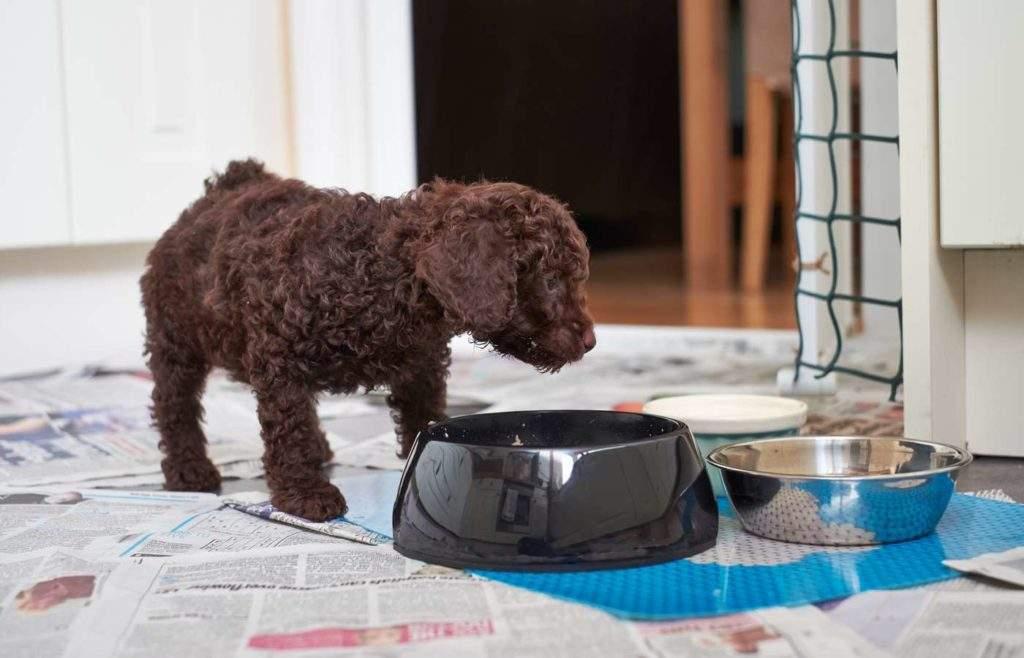除口臭最好最有效的牙膏，選擇最佳口腔清潔伙伴，告別口臭尷尬，告別口臭尷尬，尋找最有效的口腔清潔伙伴，選擇最佳牙膏守護(hù)口腔健康