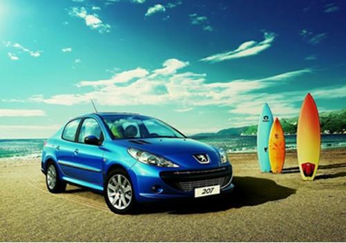 王中王307期指一生肖——深度解讀與SEO優(yōu)化，王中王307期生肖深度解讀與SEO優(yōu)化策略揭秘