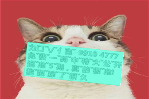 一肖啥意思，深度解析與SEO優(yōu)化文章，一肖含義深度解析與SEO優(yōu)化策略探討