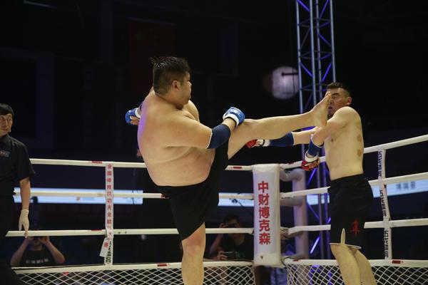 特特馬王中王一碼一肖，揭秘背后的秘密與探索SEO優(yōu)化策略，特特馬王中王一碼一肖，揭秘背后的秘密與SEO優(yōu)化策略探索