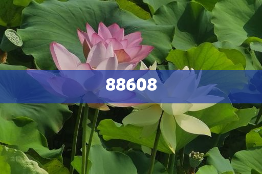 2025正版資料免費公開，獲取優(yōu)質(zhì)資源的全新時代，優(yōu)質(zhì)資源免費公開，開啟全新時代獲取優(yōu)質(zhì)資料之旅