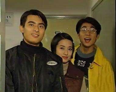 陳龍電視劇作品回顧，一部部經典之作，陳龍經典電視劇作品回顧，一部部鑄就傳奇的佳作