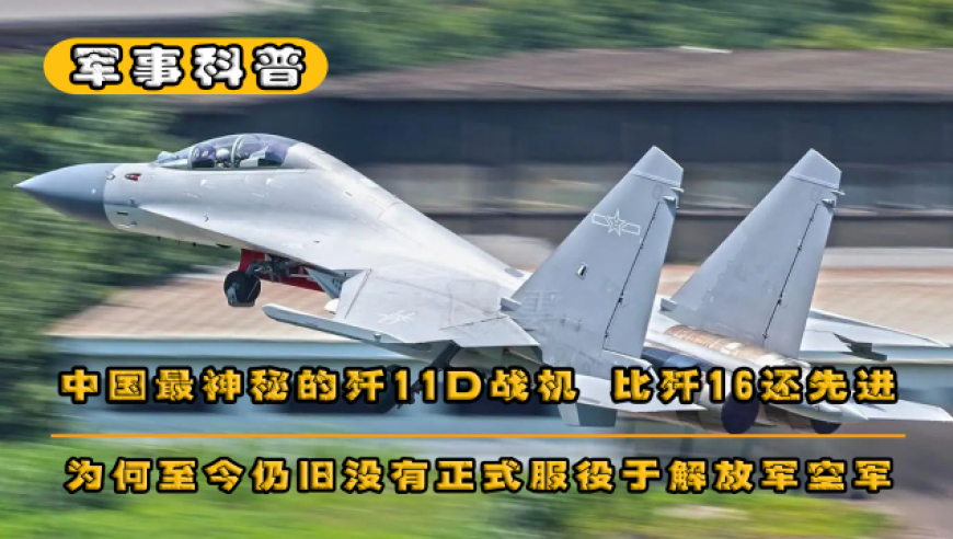 殲10、殲11、殲15、殲16，哪個更先進？深度解析中國戰(zhàn)斗機的進化歷程，中國戰(zhàn)斗機進化歷程深度解析，殲10、殲11、殲15、殲16，誰領風騷？