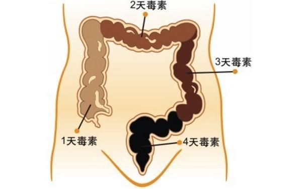 治便秘的六個有效小妙招，六個有效小妙招幫你解決便秘問題
