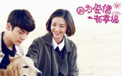 好看的電視劇排行榜前十名，精彩劇情一覽，電視劇排行榜前十名精彩劇情全覽