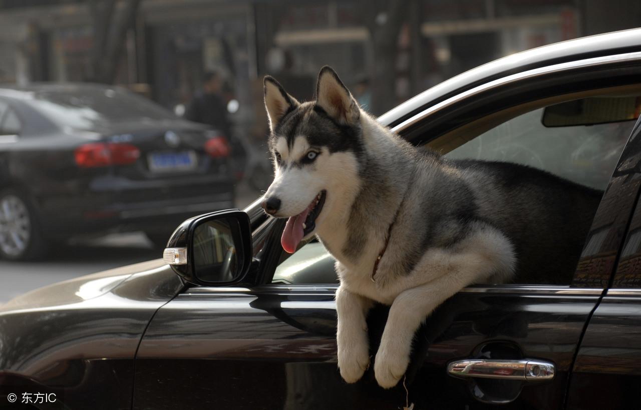今晚九點三十分特馬開彩盛宴，揭秘彩票背后的秘密！，揭秘彩票背后的秘密，今晚九點三十分特馬開彩盛宴！