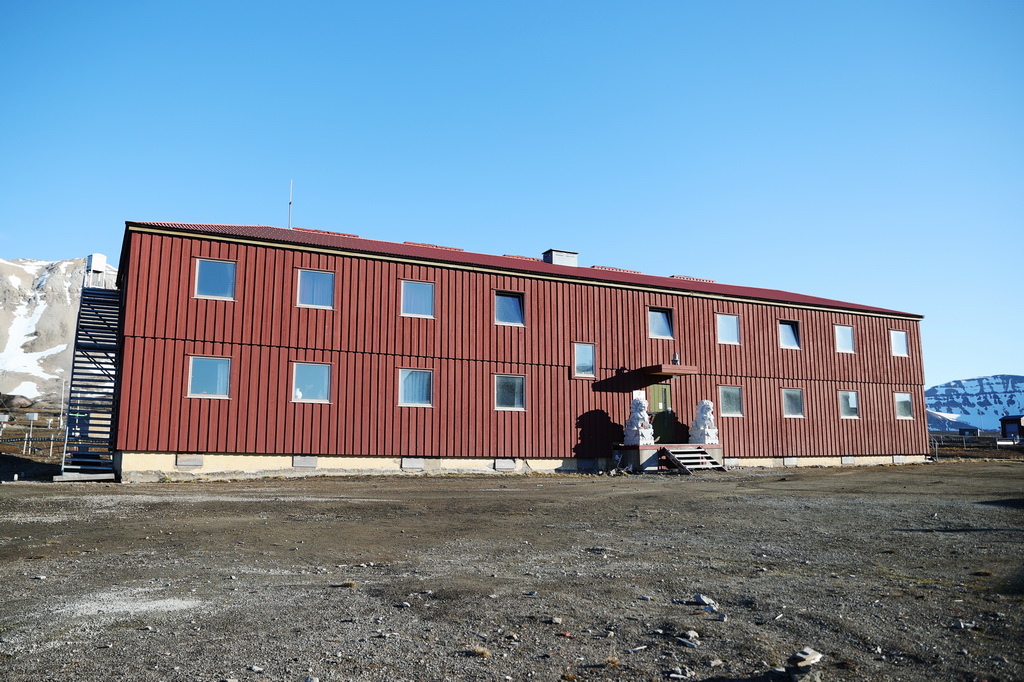 新澳王中王，揭秘一肖一特一中背后的奧秘，揭秘新澳王中王一肖一特一中背后的秘密傳奇