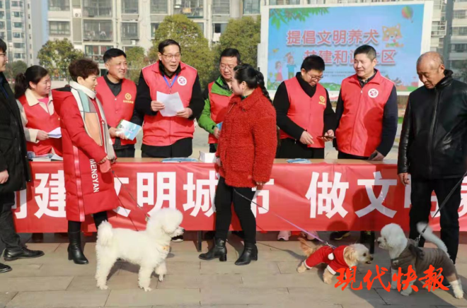 急先鋒澳門六肖，深度解析與探索，澳門六肖急先鋒，深度解析與探索